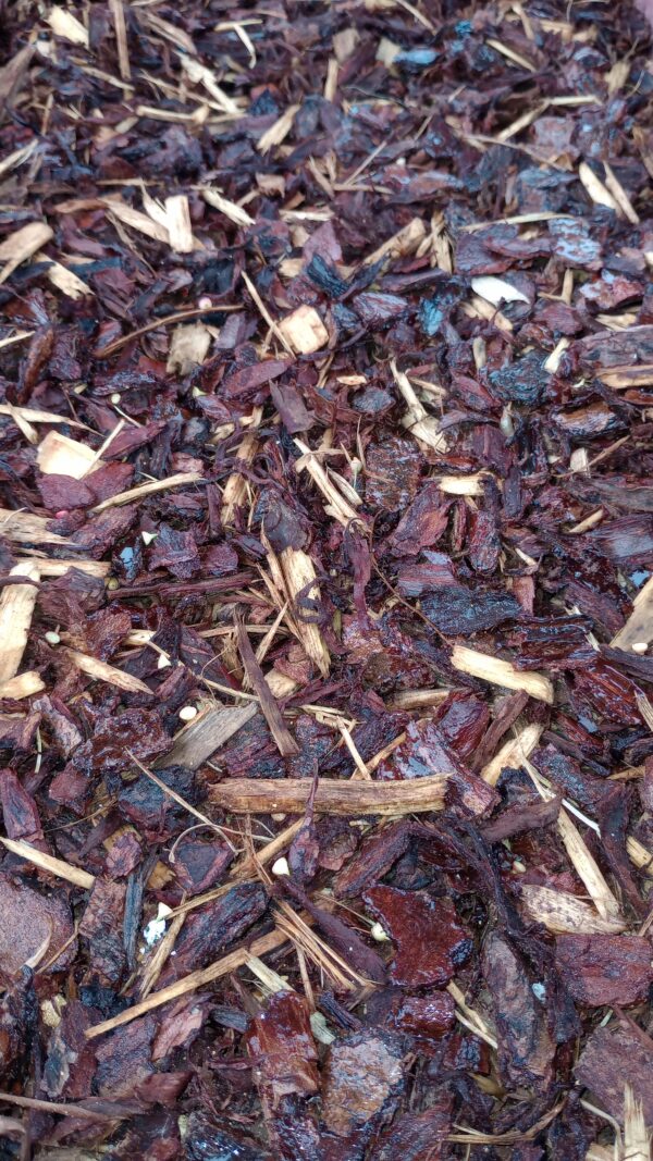 10-14mm Pine Bark