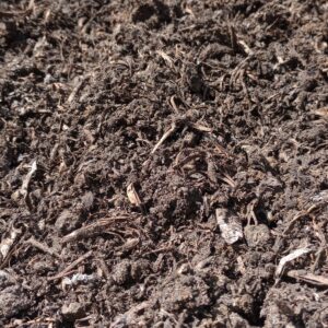 Cow & Mushroom Compost