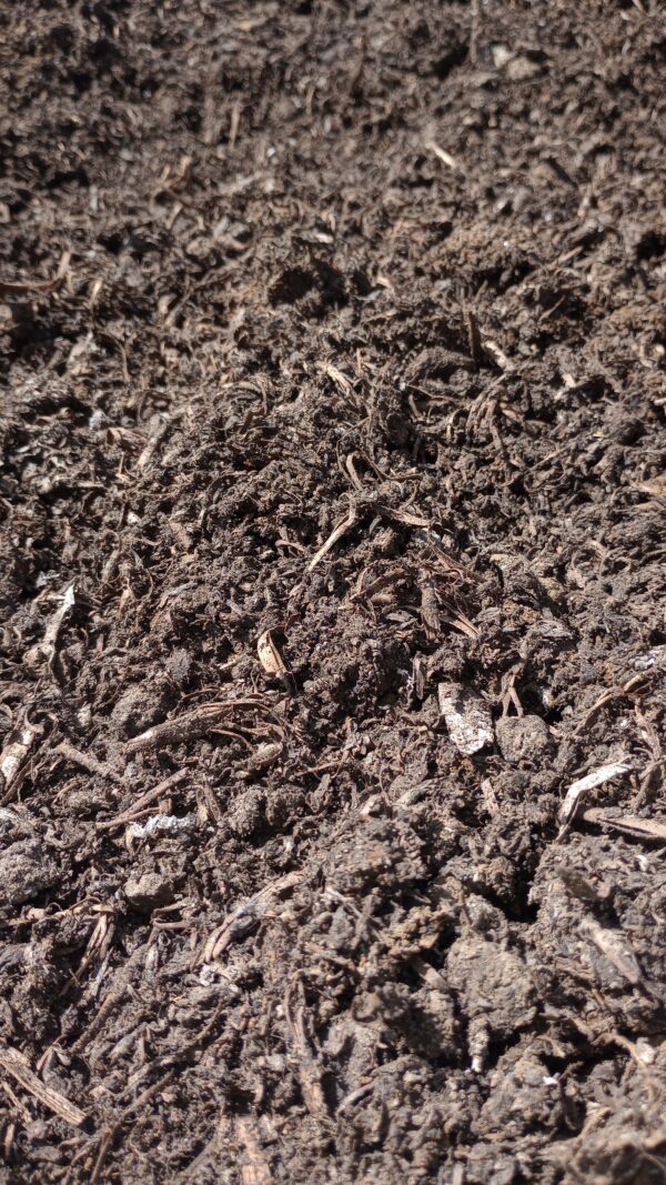 Cow & Mushroom Compost