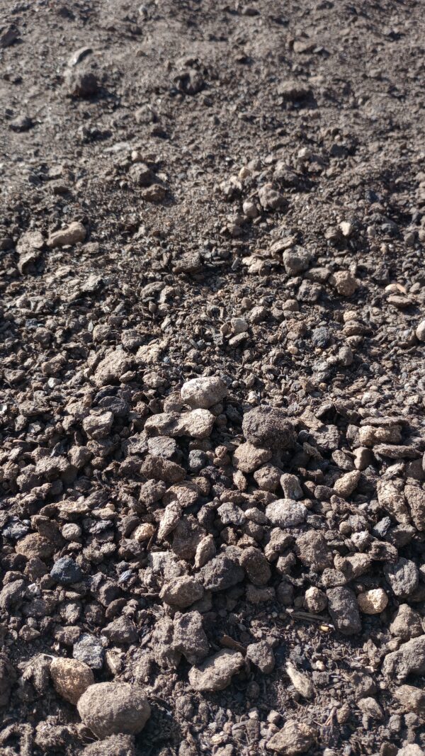 Cow Manure