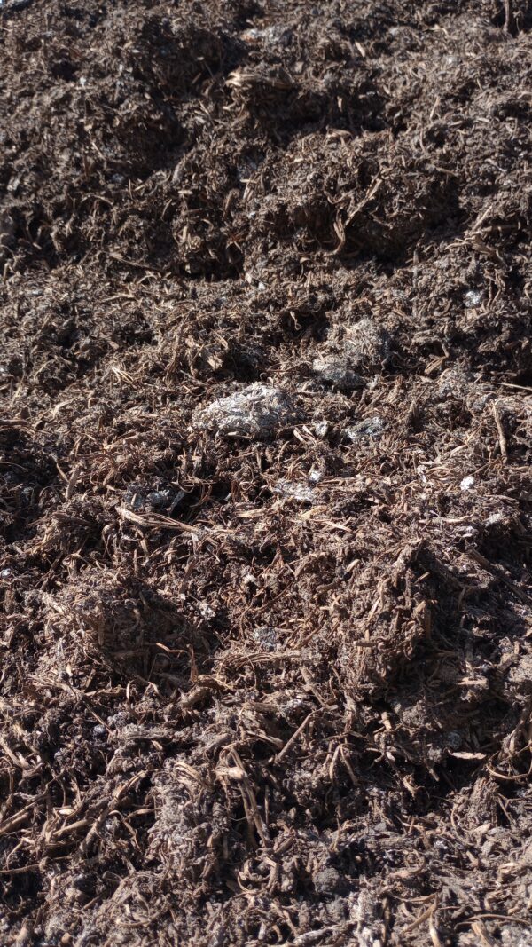 Mushroom Compost